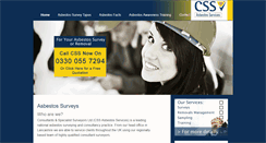 Desktop Screenshot of css-surveys.com